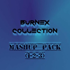 Burnex Collection (Mashup Packs 1-2-3 ALL IN ONE)