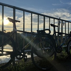 머쉬베놈 몰러유