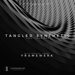 Tangled Synthetic #041 - Framewerk Guest Mix (Jan 21)