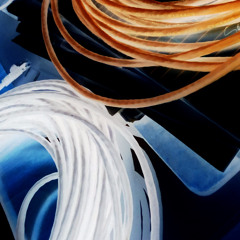 Daily Drop #5084 - These Hollow Bones