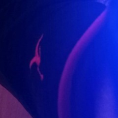 LeD - Sans casquette (SBOO)