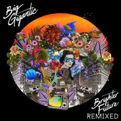 Brighter Future (feat. Naaz) (Win and Woo Remix)