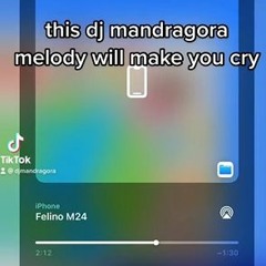 MANDRAGORA - FELINO  M24