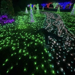 All Dogs Go 2 Heaven 🐕