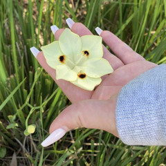 if you lie down with me