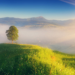 サンセットレイク