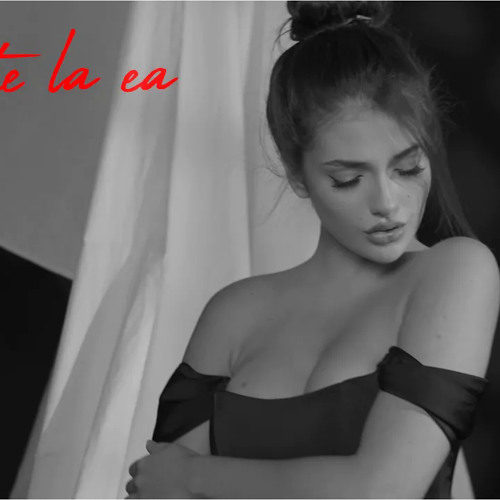 andreea bostanica du te la ea versuri