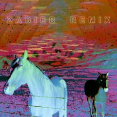 Justin Jay - Feels (Zabier Remix) V1