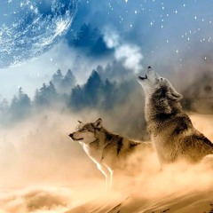 Wolf Moon & Video Link