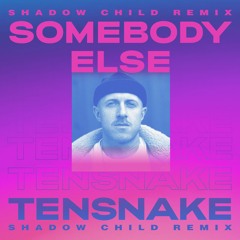 Tensnake - Somebody Else (Shadow Child Extended Remix)