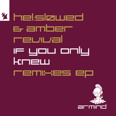 If You Only Knew (Intro Mix) [feat. Amber Revival]