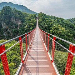 Review Special Price Private DMZ Peace Tour 3rd Invasion Tunnel and Suspension Bridge