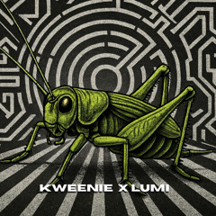 KWEENIE x LUMI - Krekeltek