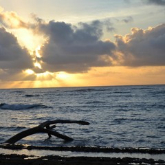 When U-SMLE Again - michaelrector