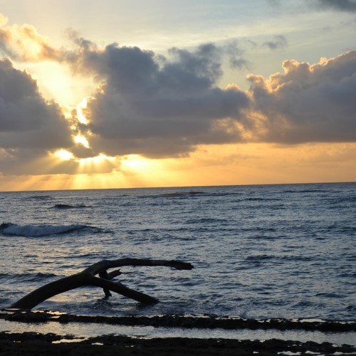 When U-SMLE Again - michaelrector