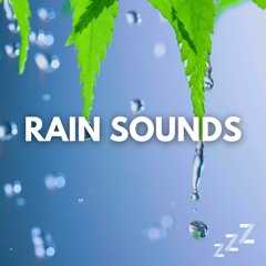 Just Rain (Loopable, No Fade)