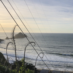 wisteria instrumental