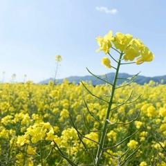 SOUL LOVE / GLAY (AIイタコ)