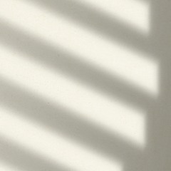 Schattenlicht (2024)