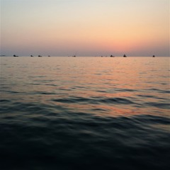 زلف