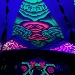 Pure Psy 2025 - NIVA