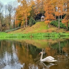 The Ninth Collection from the writer of the LDL