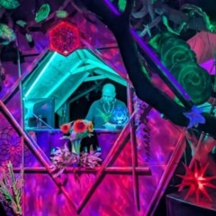 Teilchenbeschleuniger  @ Waldfunk 2025 -Spiritus Open Air-