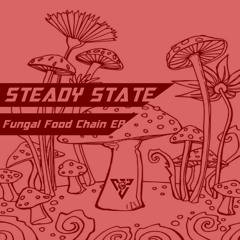 3. Fungal Food Chain (preview) - Steady State