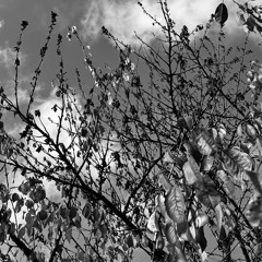 disquiet0671 - fomalhaut b (atmospheres)