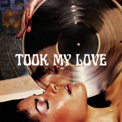Took My Love (Original Mix)