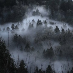 VOYAGE AU NORD  (remix AiR G - Indian Road)