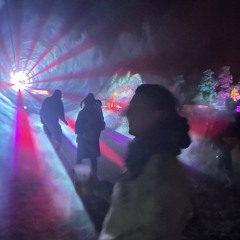 Salty&Sour @ MOYN Festival 2025 | Magischer Bazar