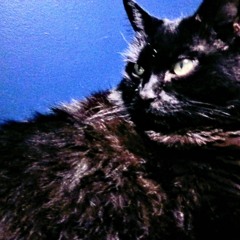 Jack Traxwell - Yo We Travelin'