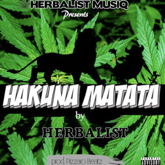 Hakunamatata Prod.by Pizzaro Beatz