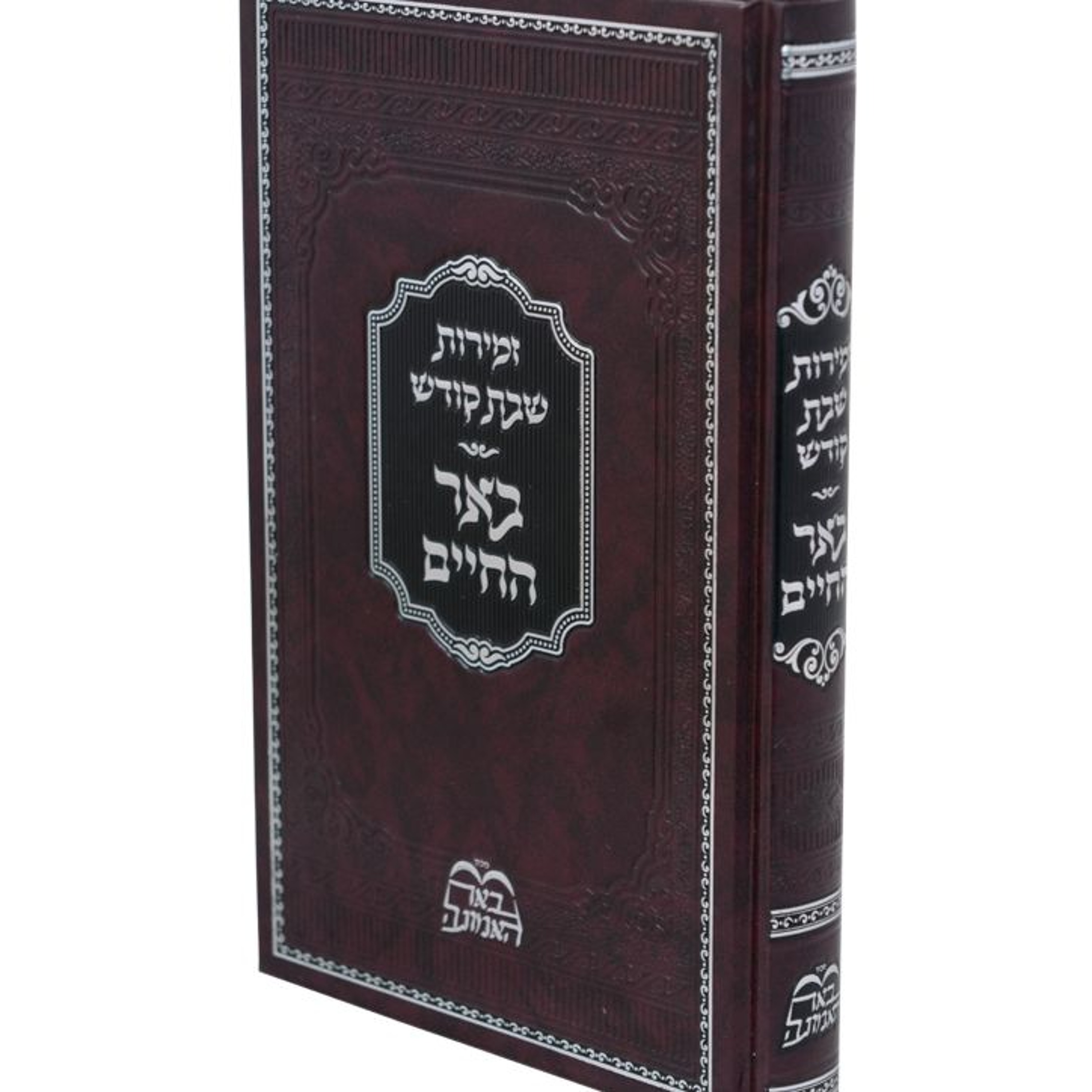 Rav Shlomo Katz