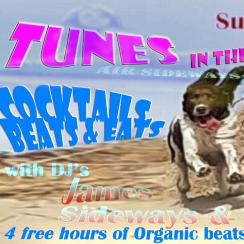 A LATE MAY EVENING IN THE DUNES