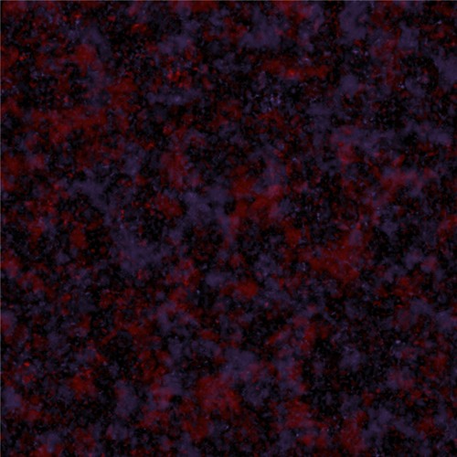 memories forgotten [bonus]