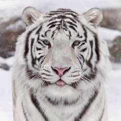 2003 겨울  홍대 엔비 기억하는 사람 모임방