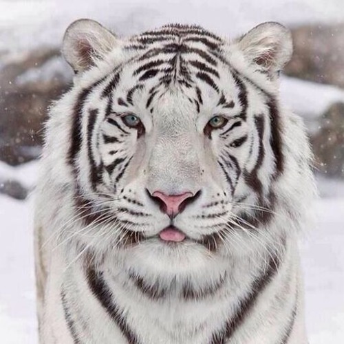 2003 겨울  홍대 엔비 기억하는 사람 모임방