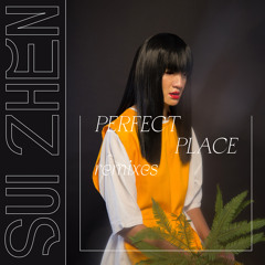 Perfect Place (Roza’s Smoke Machine Mix)