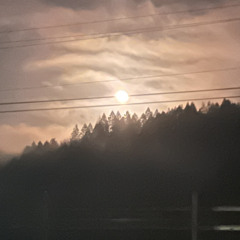 MOONLIGHT