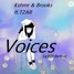 KSHMR & Brooks ft.TZAR Voices (Sa3iD Remix)