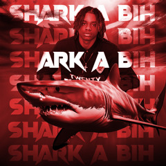 S.A.B