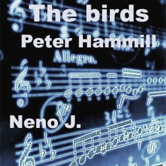 The Birds (Peter Hammill cover/ Neno J.)