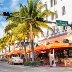 Best Things To Do In Miami Lakes Fl Tours Reviews