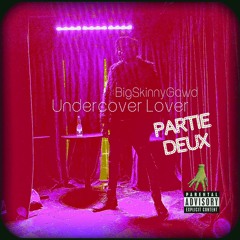 Undercoverlover (Partie Deux)