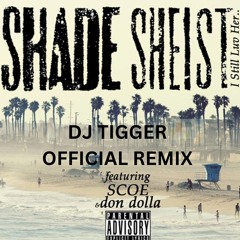 Shade Sheist - I Still Luv Her (DJ Tigger Official Remix)