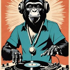 DJ vmood -  Bonobo (Gypsy) vs Herbaliser (Mr DJ)