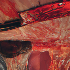 Christmas Carol ( VIB333 ) ( FT. BIGGGMIC )