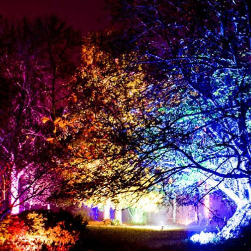 Stream Reading Illuminations 2021 Hartley and Palmers Packing by